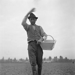 Il tempo del raccolto si avvicina